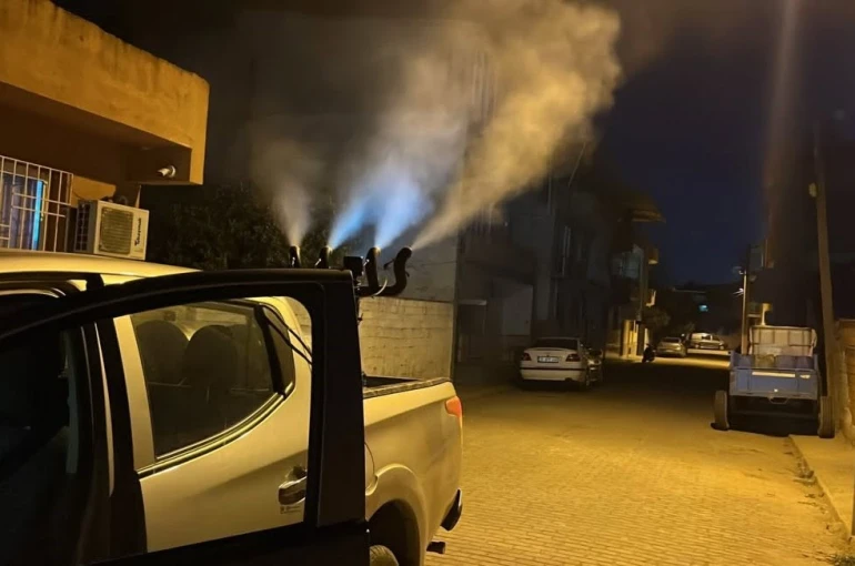 Germencik’te sivrisinek ve haşerelere karşı gece ilaçlaması