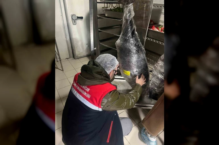 Gıda üretim ve satışı yapan işletmelerine yönelik denetim