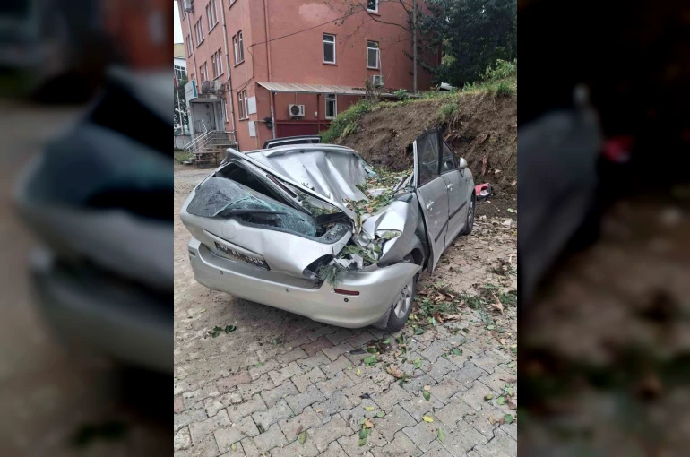 Giresun’da devrilen ağaç bir aracı kullanılamaz hale getirdi