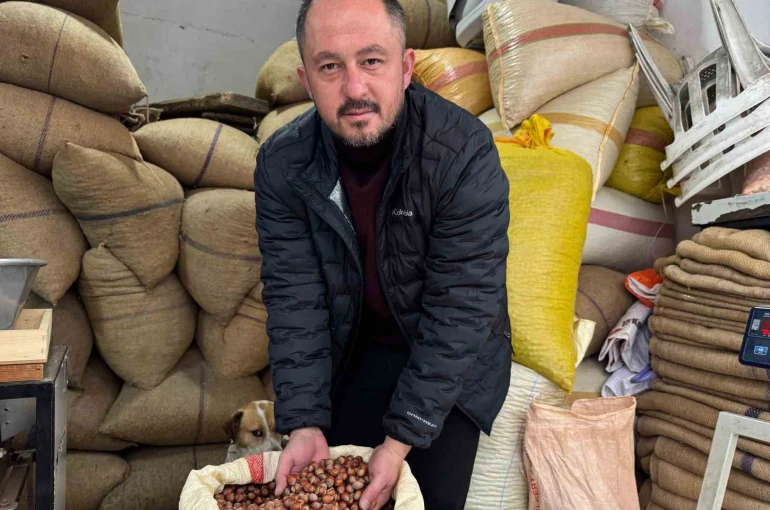 Giresun’da fındık fiyatı yılbaşına günler kala yükselişe geçti