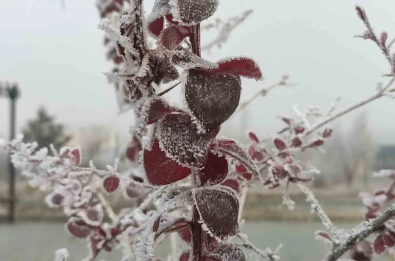 Göle eksi 13 derece, ağaçlar kırağı tuttu