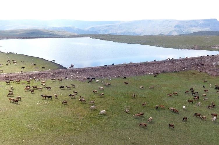 Gölet yapımında Türkiye’ye örnek olan şehir: Erzurum