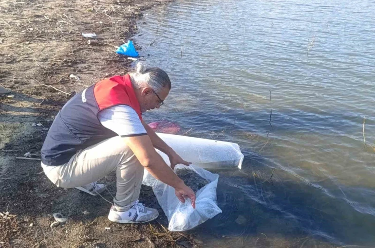 Göletlere 80 bin yavru balık bırakıldı