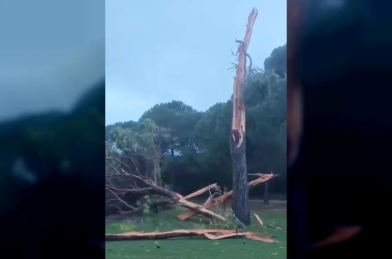Golf sahasına düşen yıldırım ağacı parçalara ayırdı 