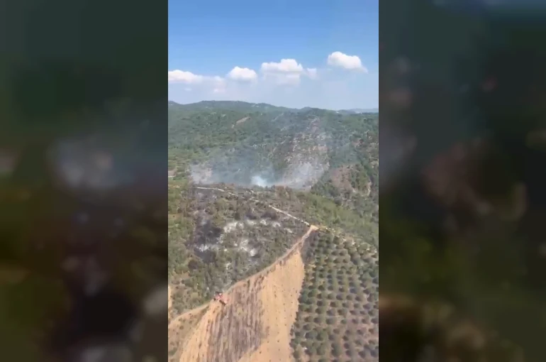 Gömeç’te başlayıp Burhaniye’ye sıçrayan orman yangını kontrol altına alındı