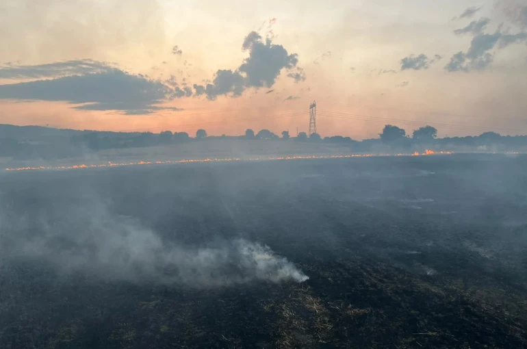 Gönen’de peş peşe çıkan 5 yangınla ilgili 2 şüpheli tutuklandı