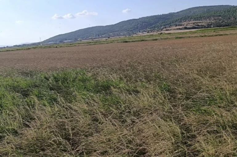 Gönen’de sulama krizi: Çiftçi saatlik suya mahkum