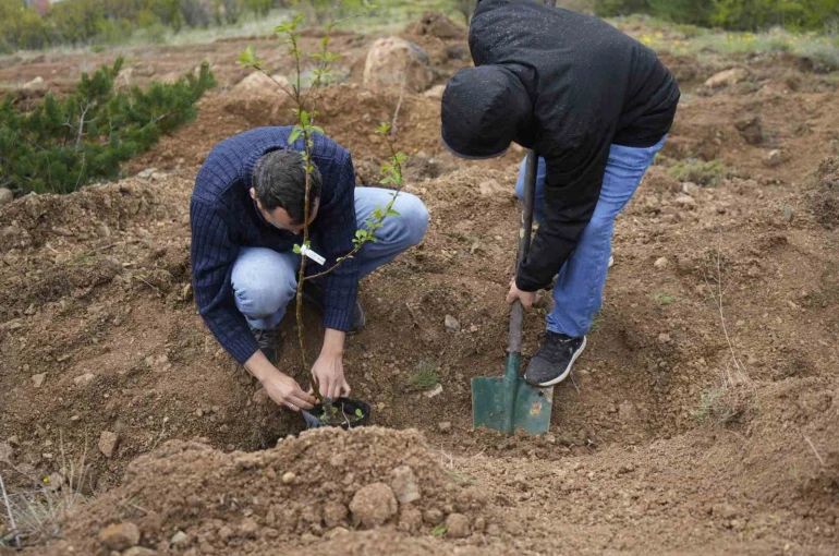 Gümüşhane Üniversitesi’nde akademisyenler için "meyve bahçesi" oluşturuldu