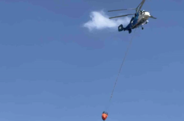 Güre’de zeytinlik yangını