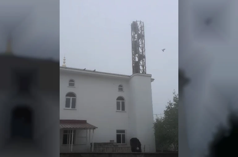 Güvercin yuvası minare yıkımını erteledi