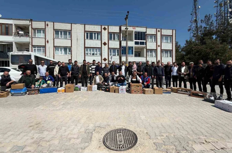 Güvercinin başkentinde gökyüzünde muhteşem şov
