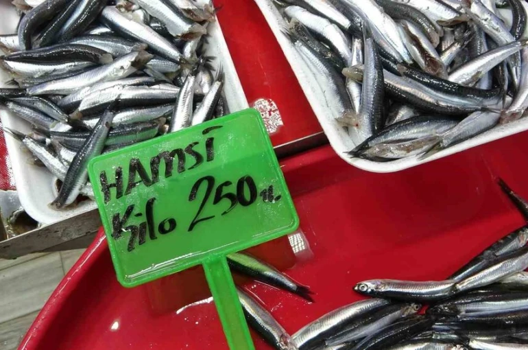 Hamsi bolluğu av baskısı oluşturdu: Şok tesislerinde, taşıyıcı kamyonlarda yer kalmadı