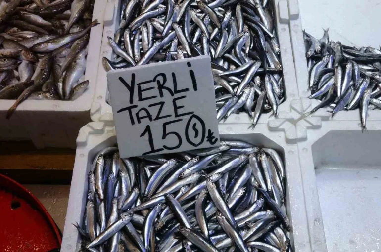 Hamsi bu defa şaşırttı: Tezgahlar yeniden şenlendi 