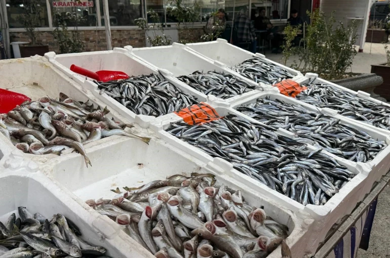Hamsi yeniden tezgahlarda, 200 liradan alıcı buluyor