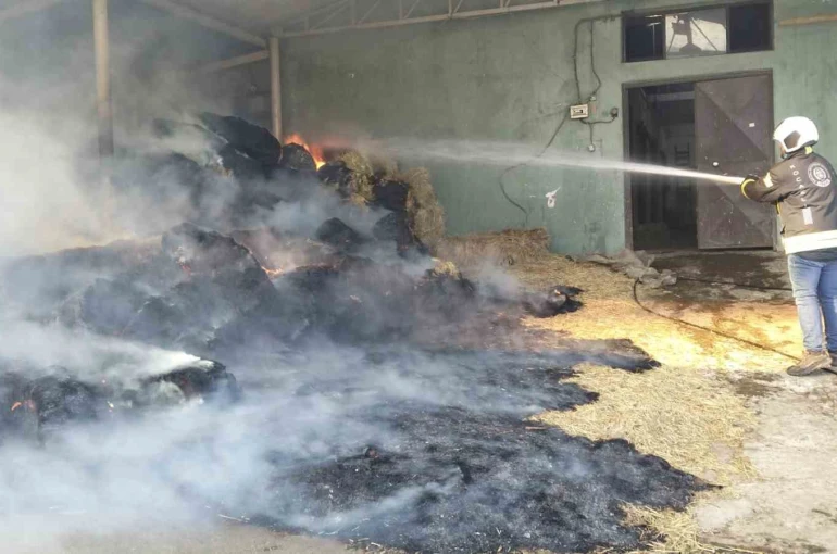 Harada çıkan yangında 70 balya saman yandı