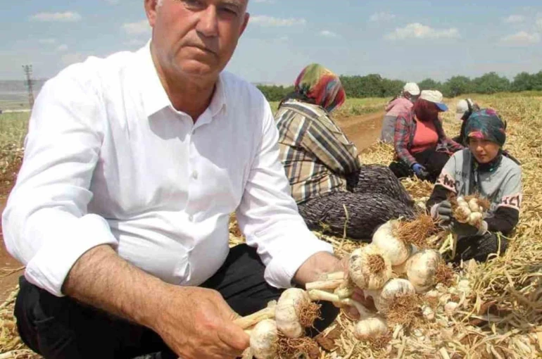 Hasan Altun’dan ’14 Mayıs Dünya Çiftçiler Günü’ mesajı