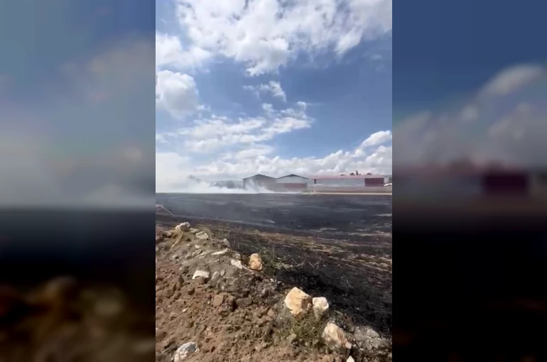 Hasat edilmiş buğday tarlasında çıkan yangın yerleşim yerlerine sıçramadan söndürüldü