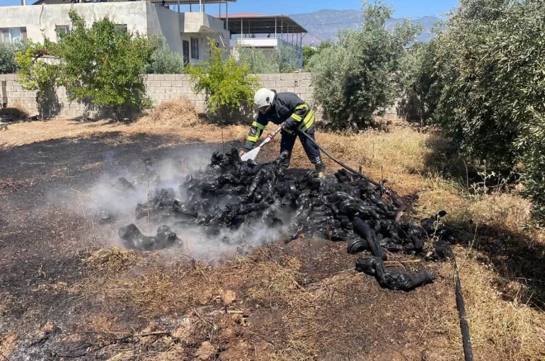 Hassa’da bahçe yangını