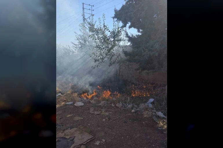 Hassa’da bahçe yangını