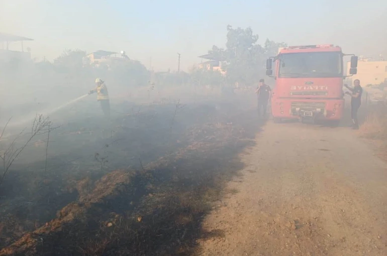 Hassa’da zeytinlik yangını yaşandı