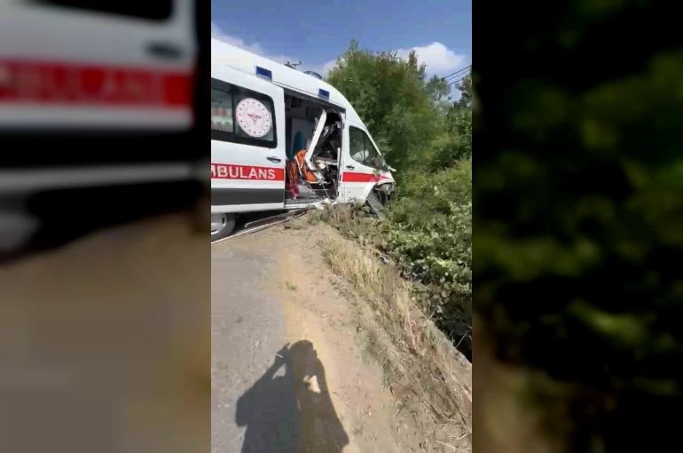 Hasta taşıyan ambulans yoldan çıkarak yeşillik alana savruldu