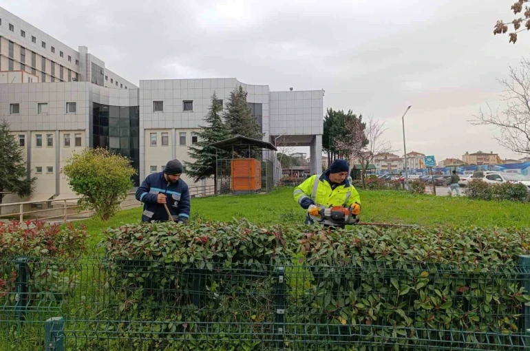 Hastane bahçelerinde budama ve bakım çalışması yapılıyor