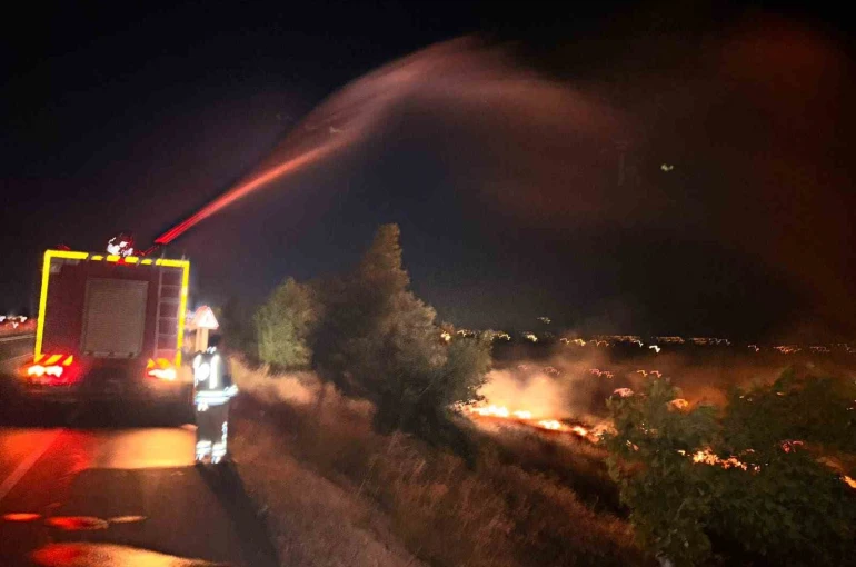 Hatay’da anız yangını zeytinliğe sıçradı: 200 dönüm arazi zarar gördü