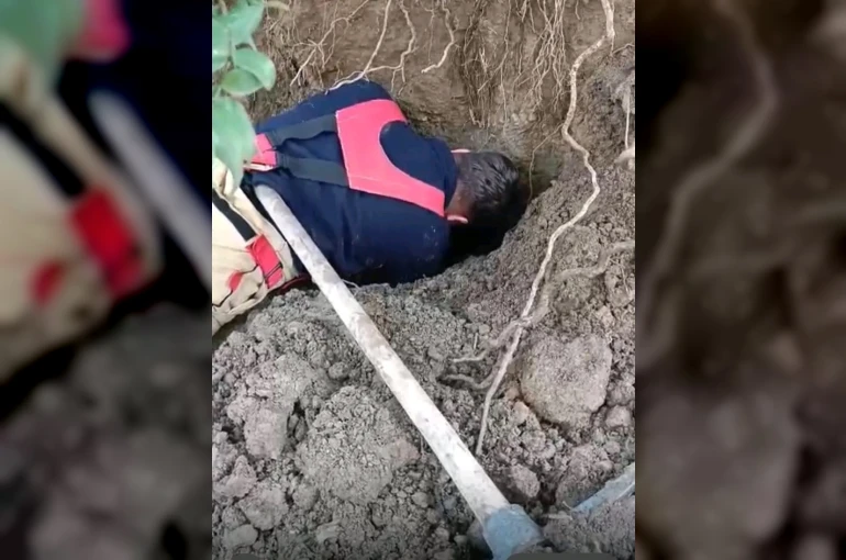 Hatay’da toprağın kaymasıyla göçük altında kalan yavru köpekler kurtarıldı