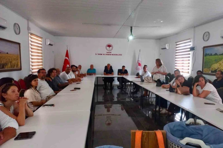 Hatay’da turunçgillerde doğru hasat uygulamaları anlatıldı 