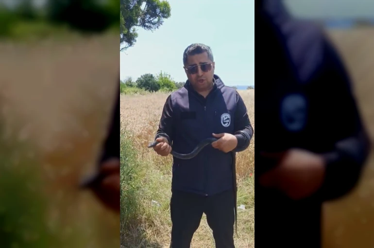 Hatay’da yaşlı kadının evine giren yılanı yakalayan Yılancı Kemal ‘Sevgili karayılan insanlardan uzak dur’ sözleriyle doğaya saldı