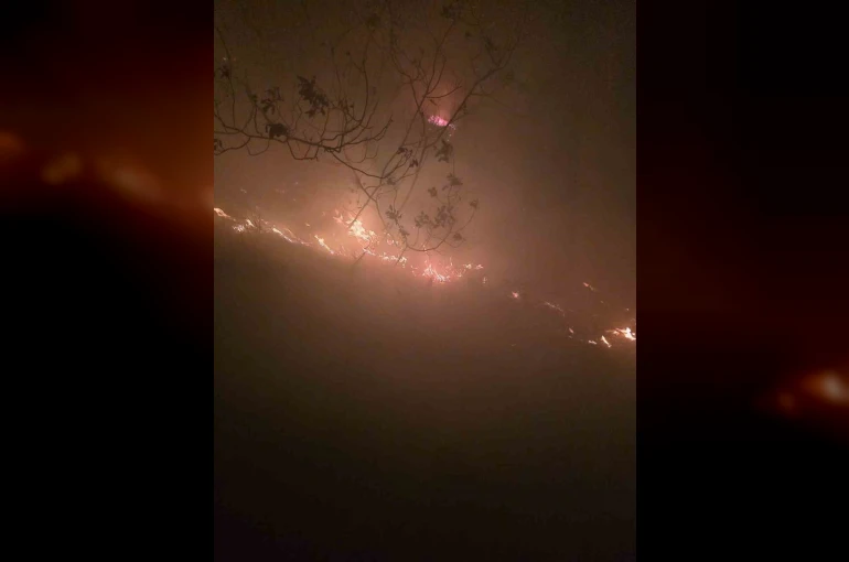 Hatay’da yıldırımın düştüğü ormanlık alanda yangın çıktı