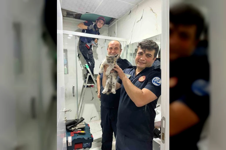 Havalandırma boşluğunda mahsur kalan kediyi itfaiye kurtarıldı