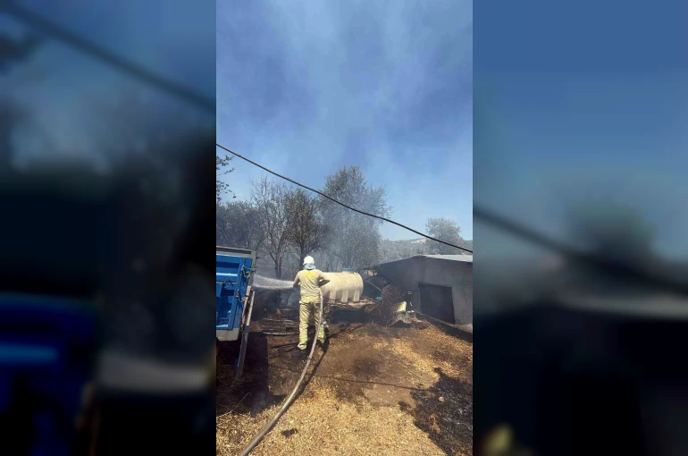 Havran Fazlıca’da korkutan yangın 