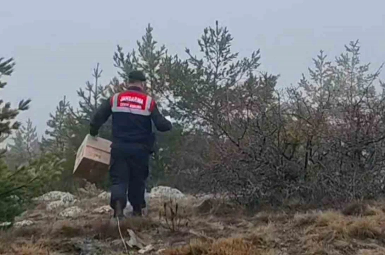 HAYDİ ekipleri doğadaki canlıları unutmadı