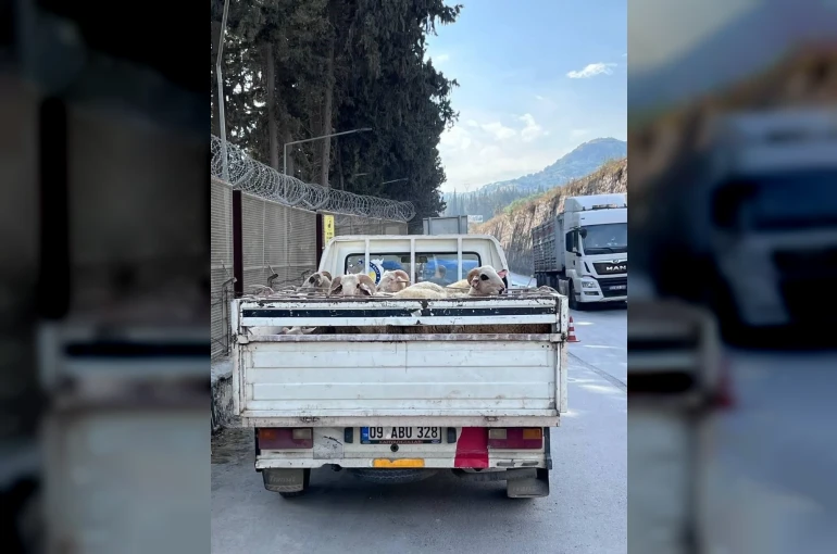 Hayvan hastalıkları ile mücadelede yol kontrolleri devam ediyor