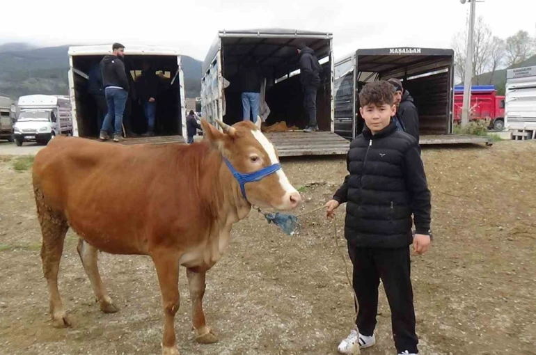 Hayvan pazarının en küçük celepçisi kurbanlık satıyor