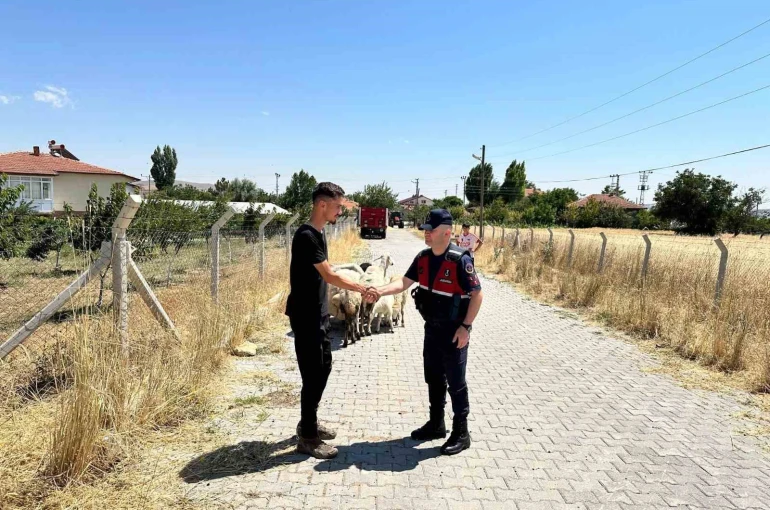 Hayvanları kaybolan çiftçinin yardımına Jandarma ekipleri koştu