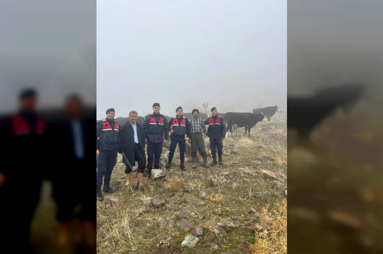 Hayvanları kaybolan kişinin imdadına jandarma yetişti