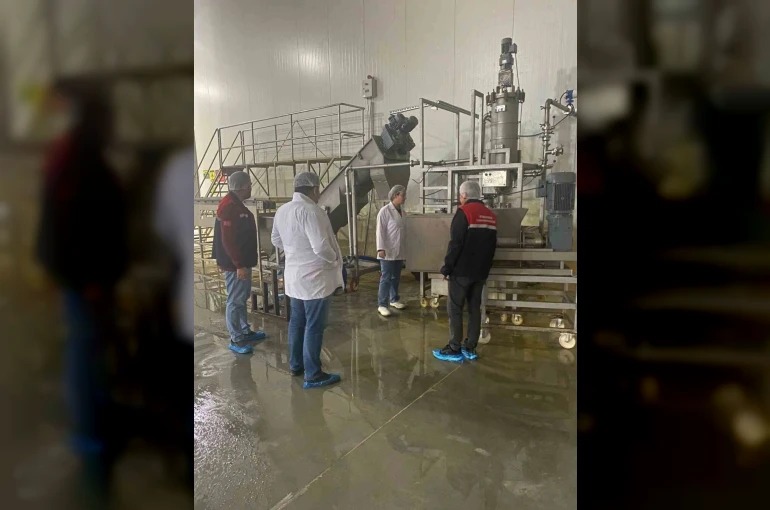 Hayvansal yem üreten işletmeye yönelik denetim
