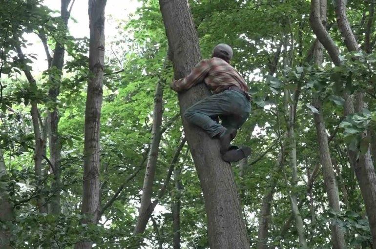 Herkes onu kayıp diye arıyordu...Ihlamur toplamak için çıktığı ağaçtan düştüğü ortaya çıktı 