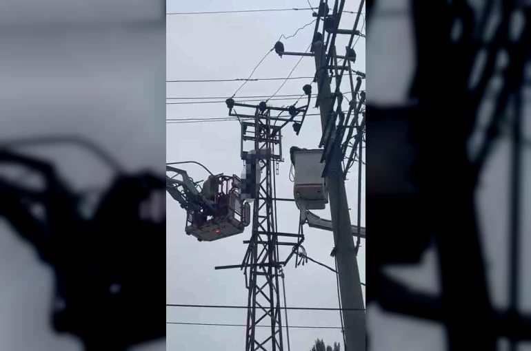 Hırsızlık için çıktığı elektrik direği sonu oldu
