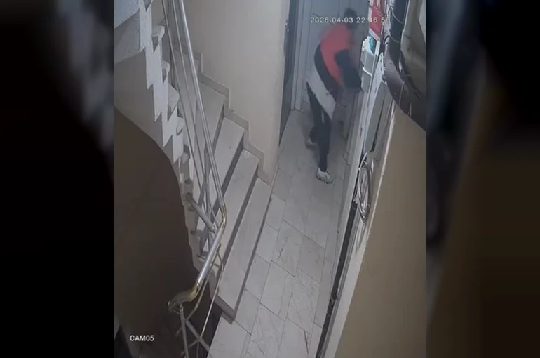 Hırsızlık için girdiği binada kapıları yokladı, açamayınca koridora tuvaletini yaptı