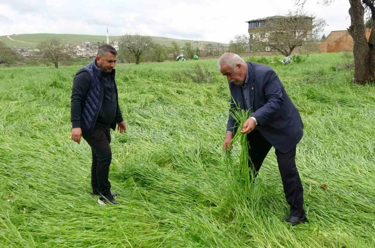 Hububatı ‘süper hücre’ vurdu