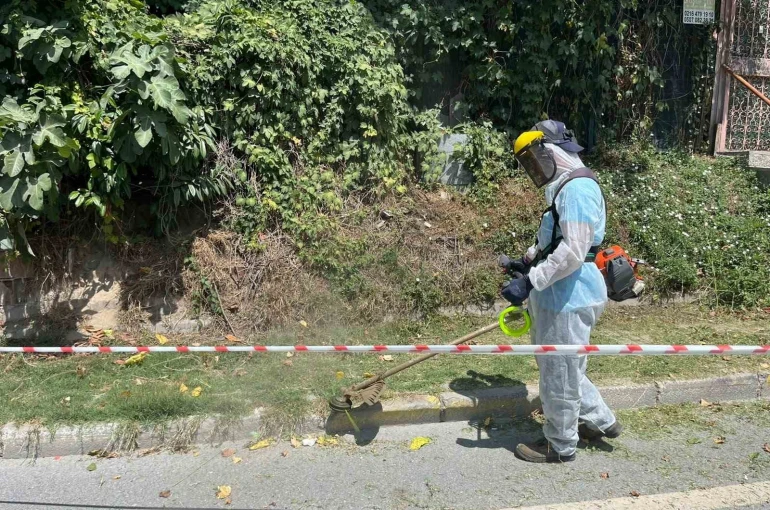 İBB’nin sorumluluğundaki yollarda otlar metrelerce uzadı, temizliği Beykoz Belediyesi yaptı