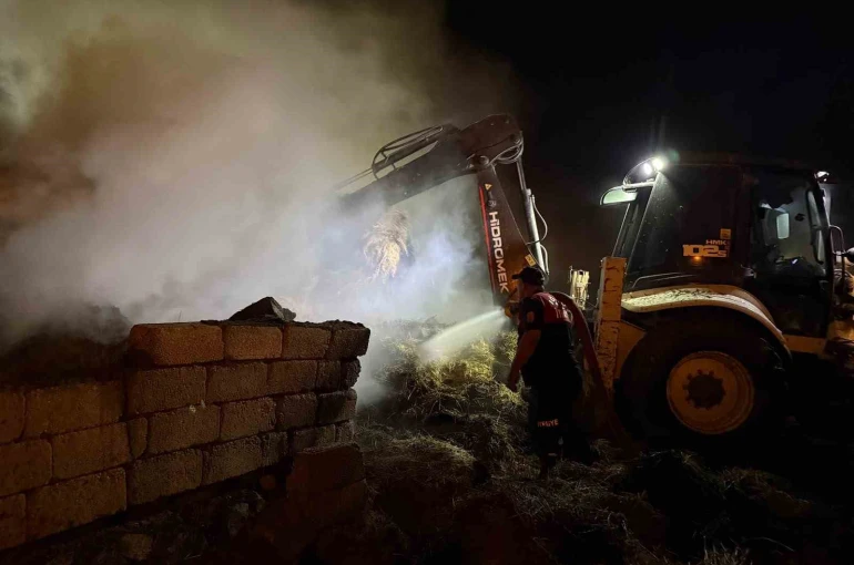Iğdır’da 2 bin balya alevlere teslim oldu