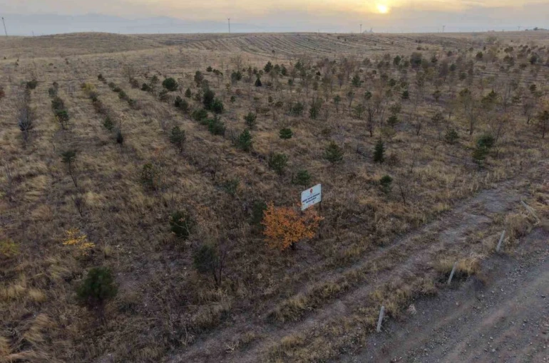 Iğdır’da fidanlar toprakla buluştu