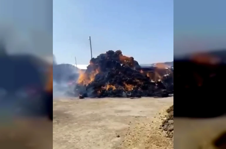 Iğdır’da ot balyaları alevlere teslim oldu