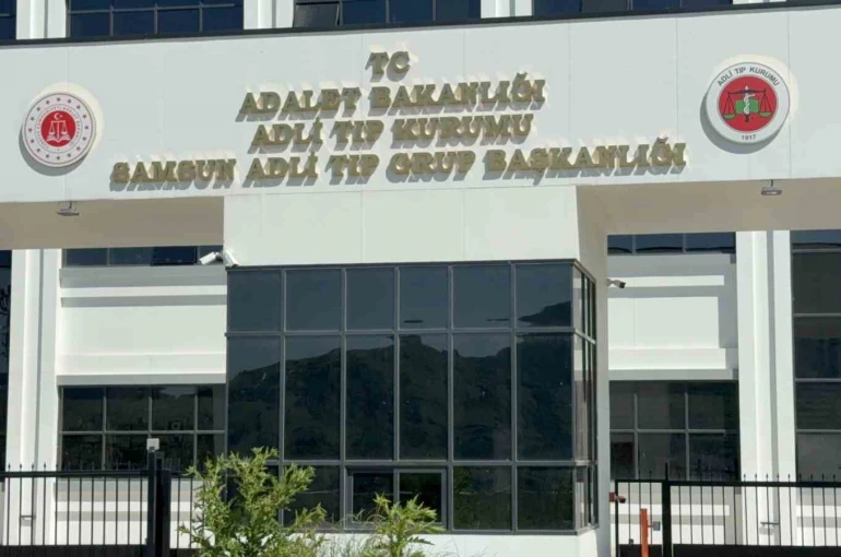Ihlamur ağacından düşen yaşlı adam hayatını kaybetti