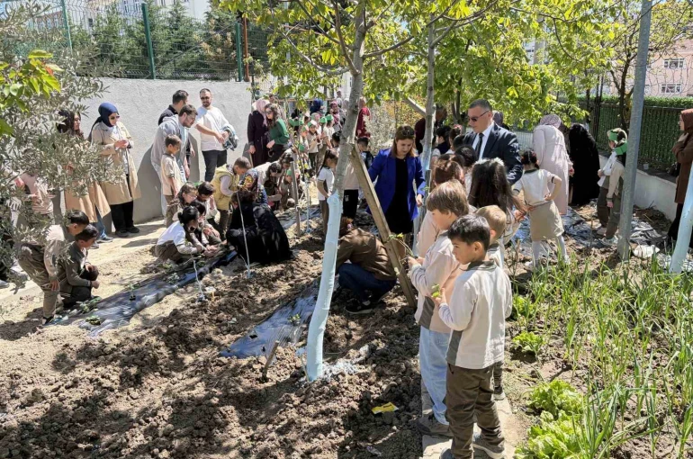 İlkokul öğrencileri, çilek fidelerini toprakla buluşturdu