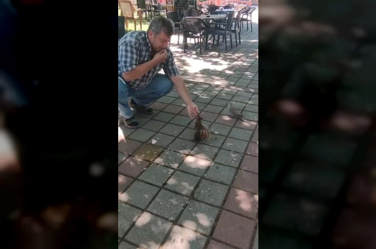 İnegöl’de sincap ve kumruyu elleriyle besledi 